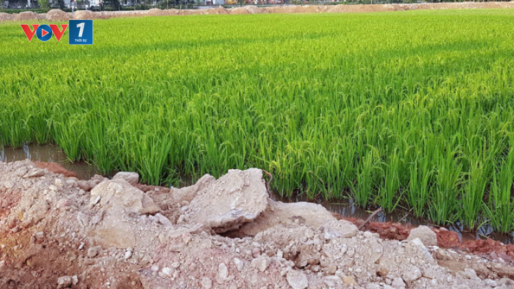 Vĩnh Phúc: Nhiều điểm nghẽn trong giải phóng mặt bằng (11/12/2023)
