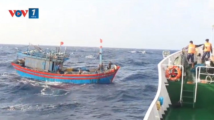 THỜI SỰ 21H20 ĐÊM 20/12/2023: Các chiến sỹ Vùng 3 Hải quân cứu nạn thành công tàu cá và ngư dân gặp nạn trên biển Quảng Ngãi.