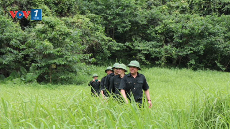 Những người giữ rừng ở vùng Đông Bắc (06/12/2023)