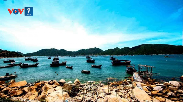 Duyên hải Nam Trung bộ: Tích hợp phát triển nông nghiệp bền vững (08/02/2023)