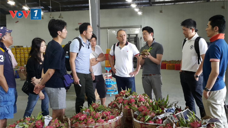 Nông sản xuất khẩu đang gặp khó (20/02/2023)