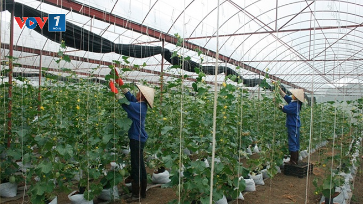 Đẩy mạnh phát triển các giải pháp KHCN giúp phát triển nông nghiệp bền vững – xu thế tất yếu (18/2/2023)