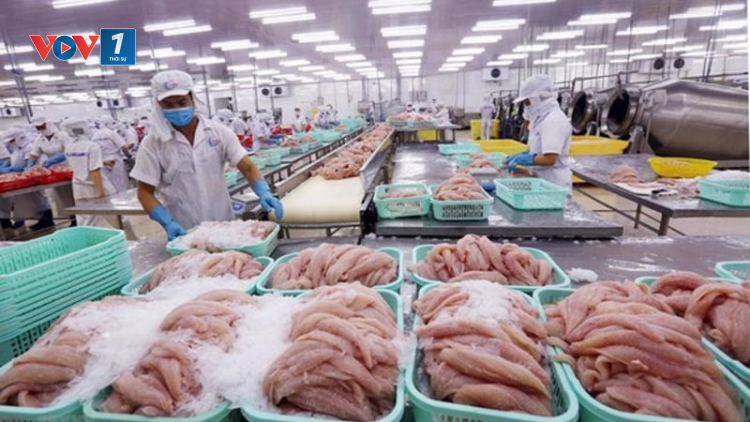 THỜI SỰ 6H SÁNG 28/2/2023: Xuất khẩu thuỷ sản đang khó khăn hơn so với cùng kỳ năm trước