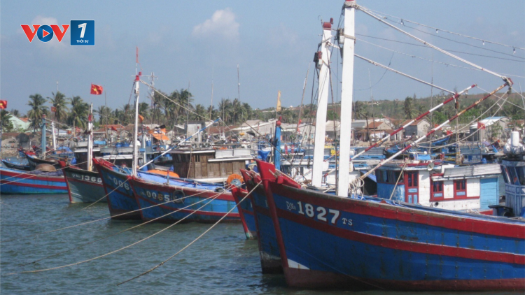 THỜI SỰ 12H TRƯA 28/2/2023: Tỉnh Bình Thuận đề nghị hỗ trợ hơn 500 ngư dân sắp cạn kiệt lương thực do thời tiết xấu trên biển