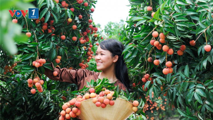“Dấu ấn Nghị quyết của Đảng trong định hướng phát triển nông nghiệp, nông dân và nông thôn” (03/02/2023)