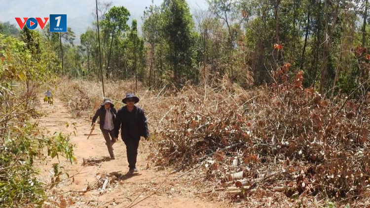 Kon Tum căng sức phòng chống cháy rừng (22/03/2023)