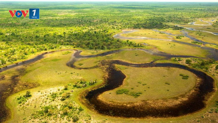 Khám phá đồng bằng Okavango - ốc đảo diệu kỳ của châu Phi (18/03/2023)