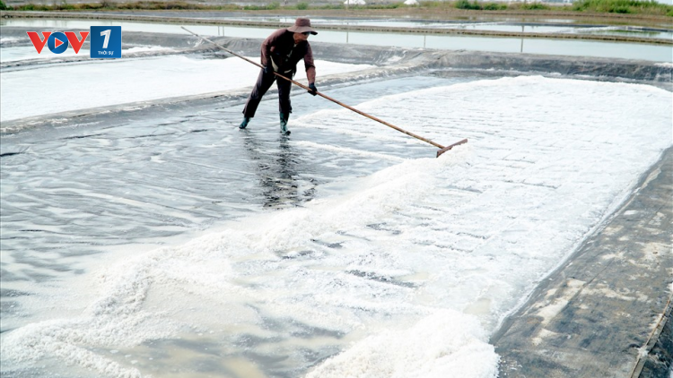 Diêm dân Bà Rịa - Vũng Tàu sống được nhờ giá muối (20/03/2023)