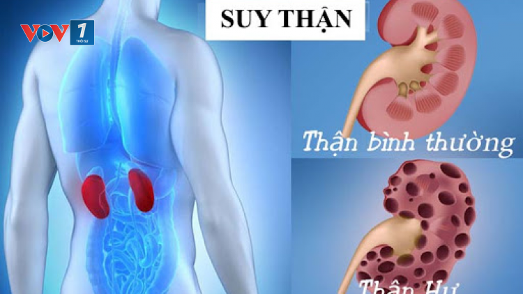 Tại sao người có chức năng gan, thận suy giảm không nên uống thuốc tây hạ đường huyết? (4/3/2023)