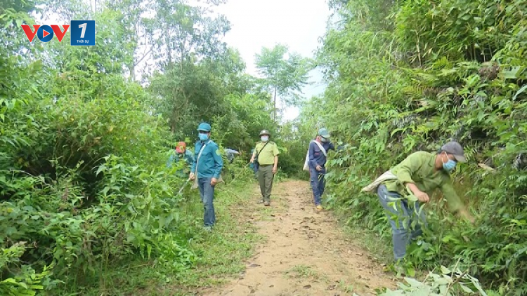 Sơn La chủ động phòng cháy rừng (18/04/2023)