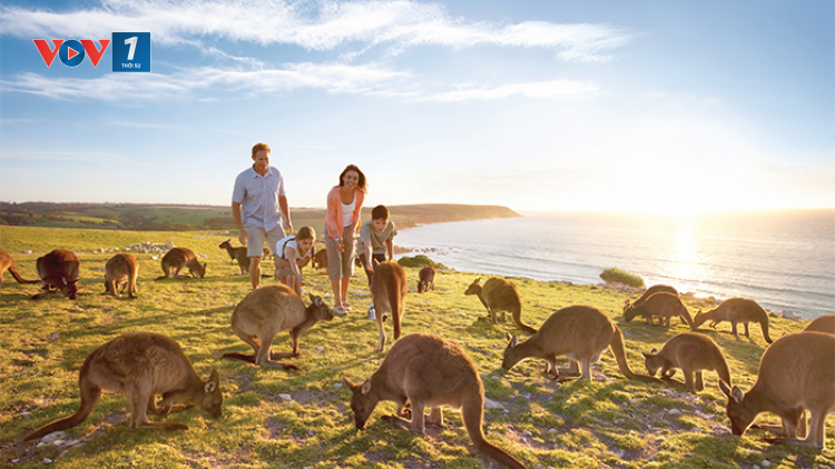 Triển vọng Chiến lược quốc gia về Du lịch đến năm 2030 của Australia (05/04/2023)