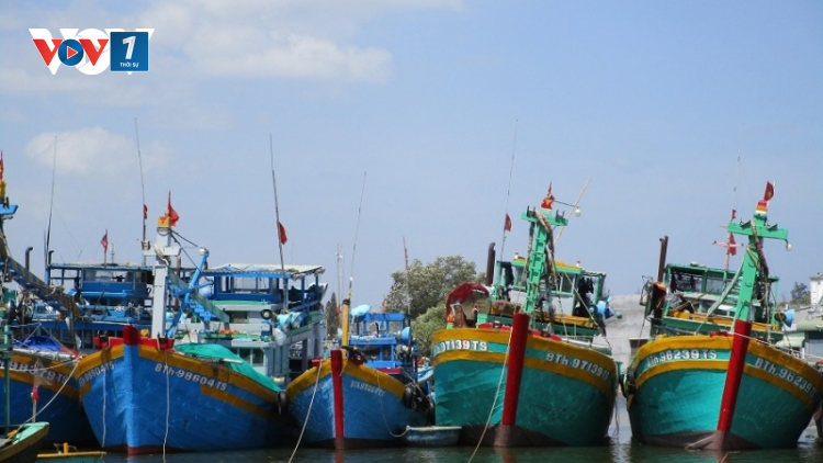 Khắc phục thẻ vàng IUU, thực tế từ địa phương. (21/04/2023)