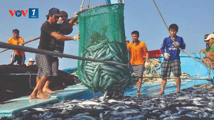 THỜI SỰ 18H CHIỀU 10/4/2023: Quảng Ninh: Kiểm soát hoạt động của đội tàu đánh bắt trên biển bằng công nghệ số hóa góp phần gỡ “thẻ vàng” của EC trong thời gian tới.