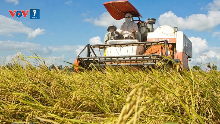 Khát vọng kiến tạo quốc gia nông nghiệp (29+30/04/2023)