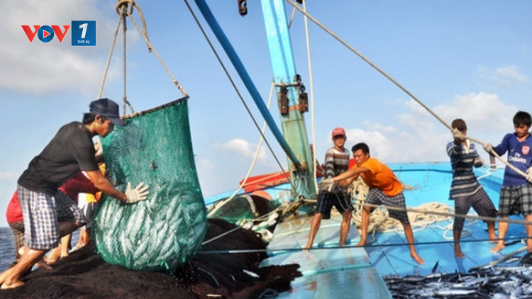 THỜI SỰ 21H30 ĐÊM 10/5/2023: Bộ Nông nghiệp và Phát triển nông thôn khẳng định, việc Trung Quốc thông báo tạm ngừng đánh cá là không có giá trị