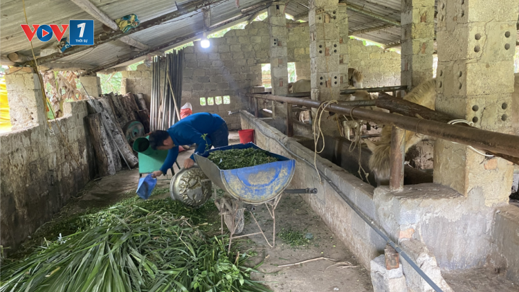 Hiệu quả nguồn vốn tín dụng chính sách trên địa bàn huyện Ngân Sơn, tỉnh Bắc Kạn (08/05/2023)
