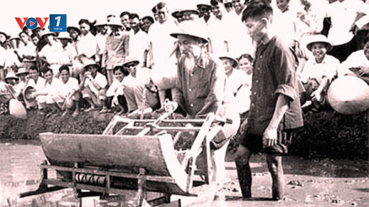 Tư tưởng của Chủ tịch Hồ Chí Minh về phát triển nông nghiệp, nông dân và nông thôn (19/05/2023)