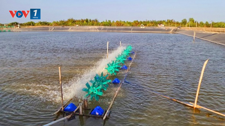 Chủ động phòng chống nắng nóng cho thủy sản (21/05/2023)