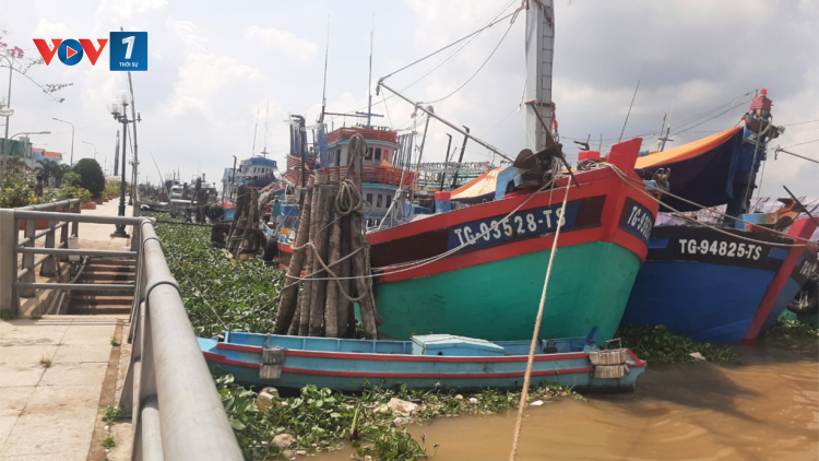 Tiền Giang: Ngư dân chấp hành các quy định chống khai thác thủy sản bất hợp pháp (22/5/2023)