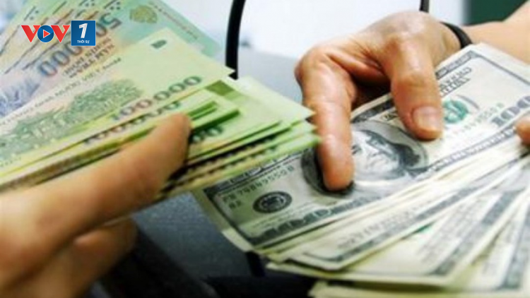 THỜI SỰ 12H TRƯA 21/6/2023: Việt Nam không nằm trong Danh sách giám sát về thao túng tiền tệ của Bộ thương mại Hoa Kỳ