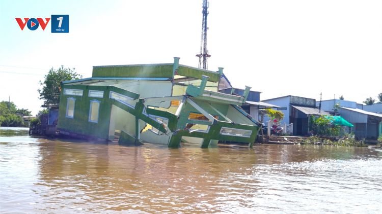 Cà Mau: nan giải tình trạng sạt lở bờ sông (6/6/2023)