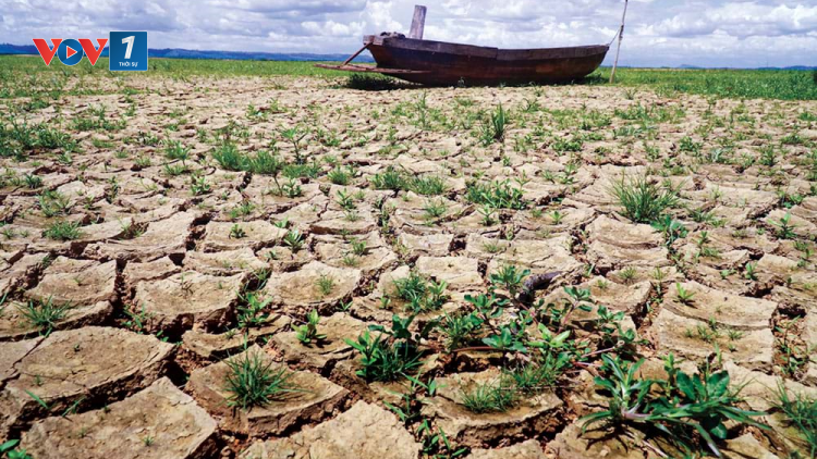 El Nino và những giải pháp ứng phó của Việt Nam (13/6/2023)