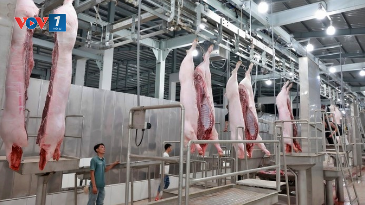 THỜI SỰ 12H TRƯA 07/6/2023: Các tỉnh, thành phố khẩn trương thành lập lại trạm thú y cấp huyện, nhằm tăng cường quản lý kiểm dịch vận chuyển, kiểm soát giết mổ động vật