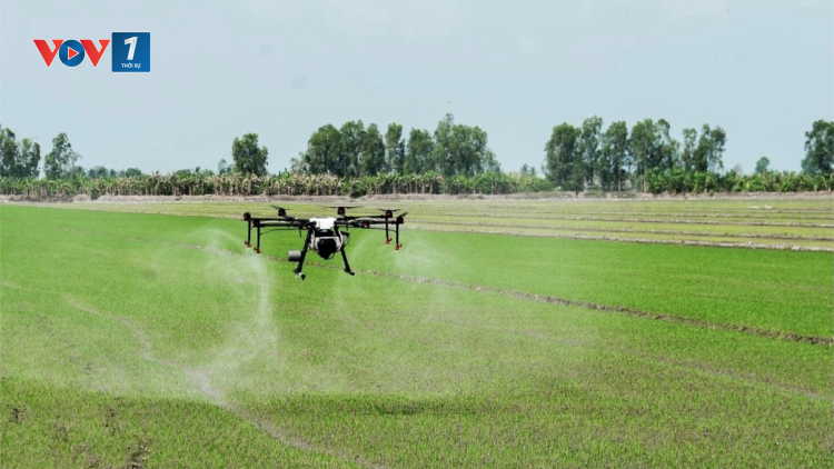 Cơ giới hoá để giảm chi phí, tăng hiệu quả sản xuất nông nghiệp (30/06/2023)