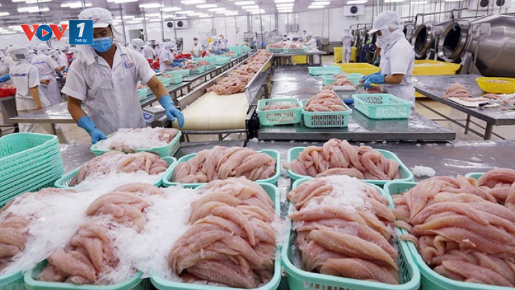 THỜI SỰ 18H CHIỀU 12/6/2023: Ngành thuỷ sản đặt mục tiêu xuất khẩu đạt 9 tỷ USD trong năm nay