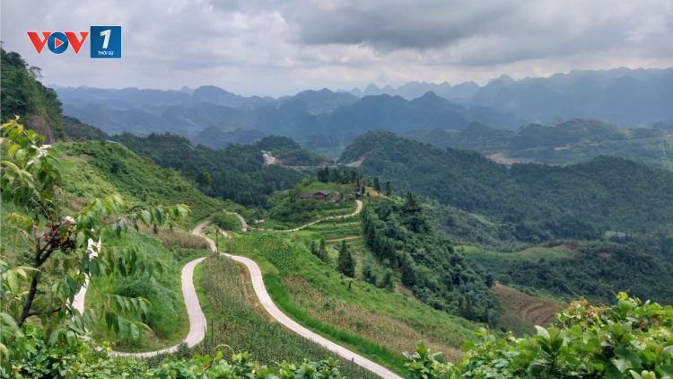 Hà Giang: Bài học từ việc khai thác rừng trái phép (21/7/2023)