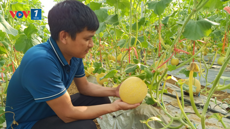 Lai Châu: Nâng cao giá trị sản xuất nông nghiệp (31/07/2023)