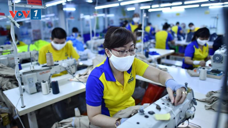 THỜI SỤ 18H CHIỀU 14/8/2023: Lao động tại các doanh nghiệp, hợp tác xã bị mất việc có thể được hỗ trợ từ 1 triệu đến 3 triệu đồng từ quỹ tài chính của công đoàn