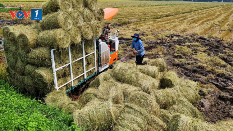 Để nhân rộng nhiều hơn mô hình nông nghiệp tuần hoàn (18/08/2023)