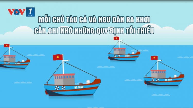Nam Định thực hiện các giải pháp gỡ thẻ vàng (23/08/2023)