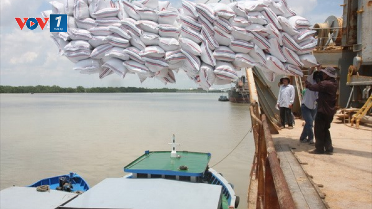 THỜI SỰ 12H TRƯA 04/8/2023: Tăng xuất khẩu gạo nhưng phải đảm bảo an ninh lương thực