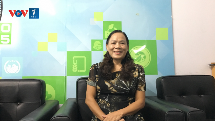 Phòng bệnh cho cá nuôi trong mùa mưa (15/08/2023)