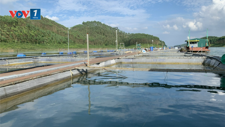Hợp tác xã miền núi cần “trụ đỡ” để phát triển bền vững (29/08/2023)