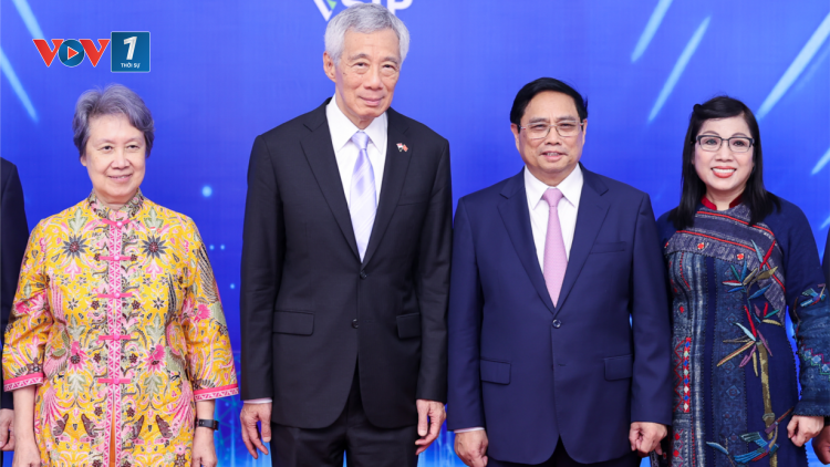 THỜI SỰ 18H CHIỀU 29/8/2023: Thủ tướng Phạm Minh Chính và Thủ tướng Lý Hiển Long dự Hội nghị thúc đẩy triển khai các dự án hợp tác đầu tư Việt Nam-Singapore, đối thoại với lãnh đạo trẻ 2 nước.