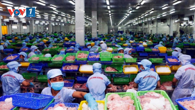 Hơn 100.000 doanh nghiệp thành lập mới sau 8 tháng (30/8/2023)