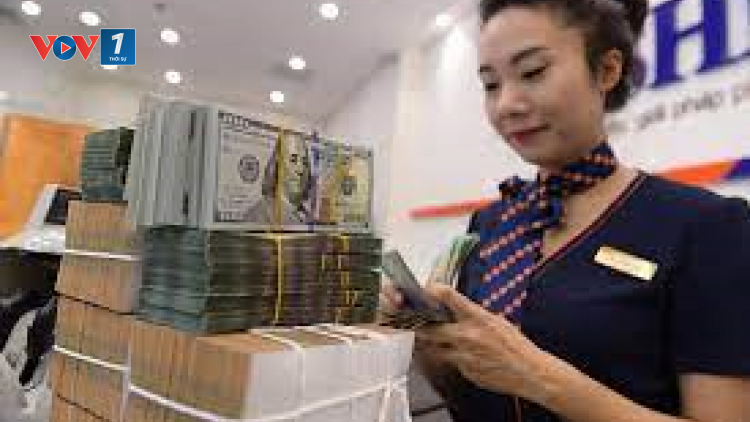 Rủi ro biến động tỷ giá không lớn (17/8/2023)