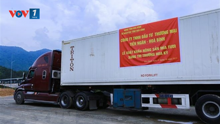 THỜI SỰ 18H CHIỀU 26/8/2023: Việt Nam tiếp tục xuất khẩu hơn 17 tấn mía tươi sang thị trường Hoa Kỳ