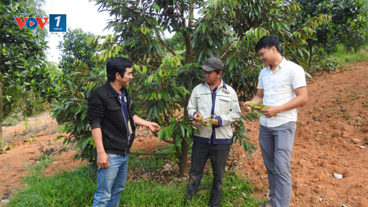 Phát huy vai trò của hợp tác xã trong thực thi chính sách (21/08/2023)