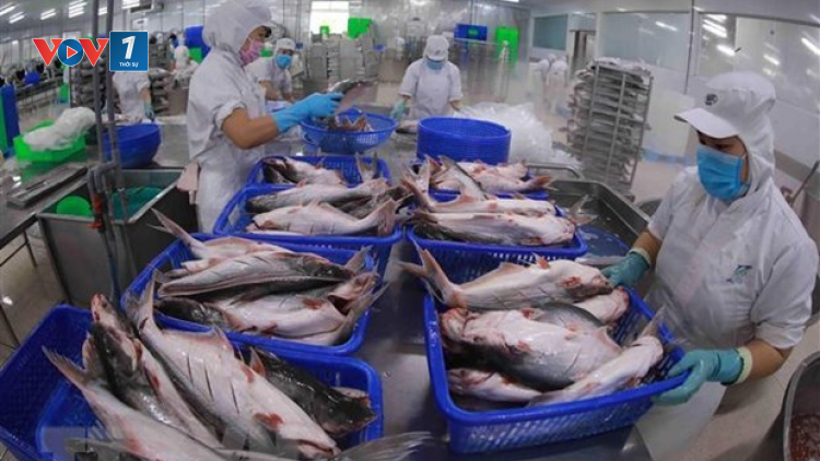 THỜI SỰ 12H TRƯA 06/9/2023: Xuất khẩu thuỷ sản chưa phục hồi như kỳ vọng, nhưng mức độ tăng trưởng âm đã được thu hẹp