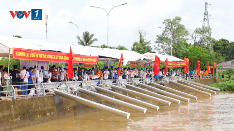 THỜI SỰ 18H CHIỀU 1/9/2023: Hơn 1 triệu con cá giống được thả xuống sông Hậu để tái tạo nguồn lợi thủy sản.