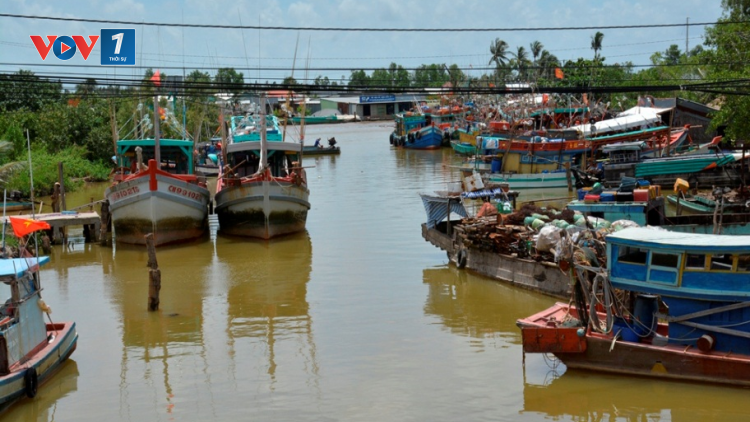 Kiến thức cho ngư dân vươn khơi an toàn trong mùa mưa bão (25/08/2023)