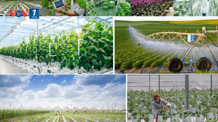 Đầu tư công nghệ để gia tăng giá trị nông sản Việt (2/9/2023)