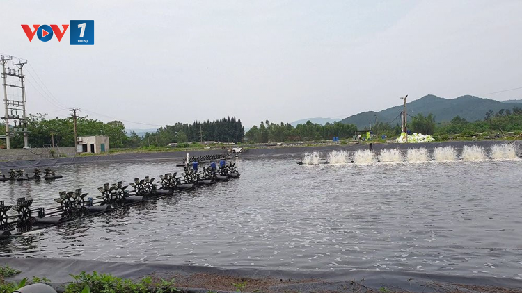 Nuôi trồng thuỷ sản ven biển thích ứng với biến đổi khí hậu (11/09/2023)