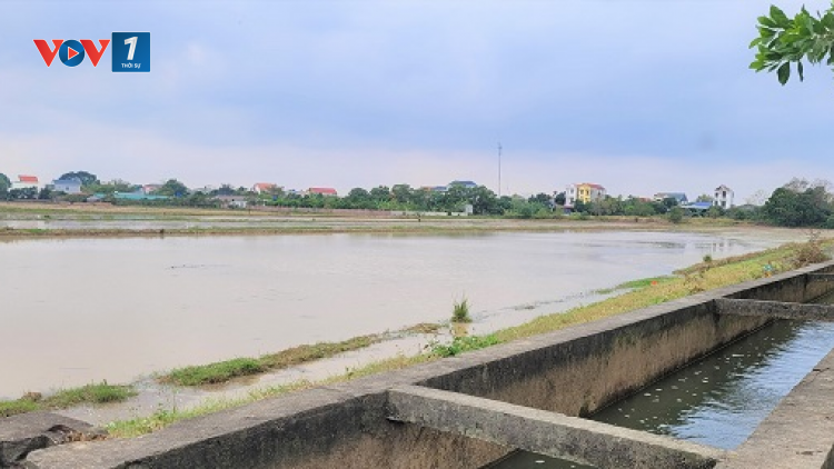 Hoàn thành đổ ải ngay trong đợt 1 xả nước các hồ thủy điện (18/01/2024)