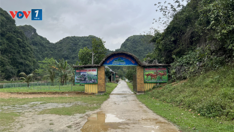 Tam Điệp, Ninh Bình: Du lịch trải nghiệm, đột phá thu nhập cho người dân nông thôn (27&28/01/2024)