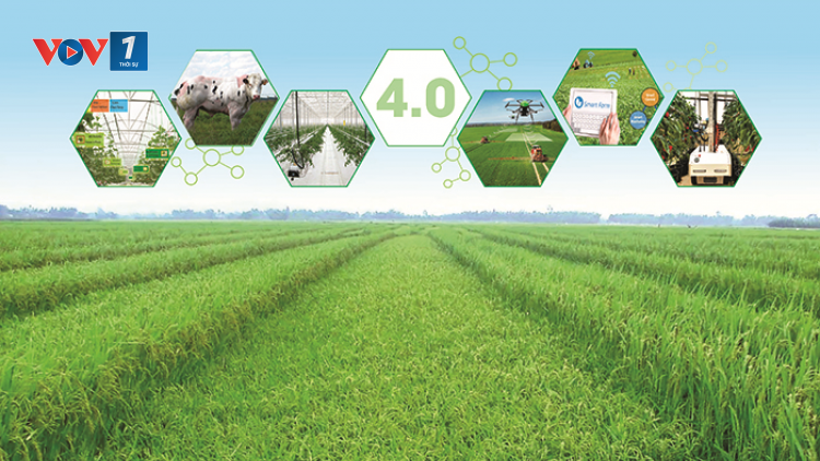 Chuyển đổi nông nghiệp xanh: phấn đấu đến năm 2025 không còn phát thải (04/01/2024)